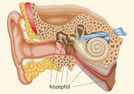 Középfül