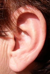 Fülcimpa elhelyezkedése a fül alsó részén