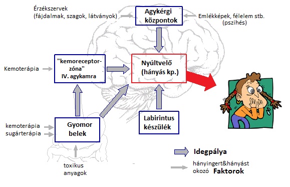 A hányingert és hányást okozó faktorok