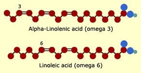 Az omega 3 és omega 6 zsírsavak felépítése